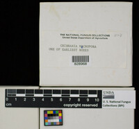 Image Associated With the Occurence